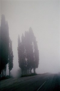 Image description is not available for 1997.015